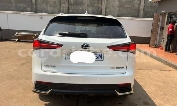 Acheter Occasion Voiture Lexus NX Blanc à Lomé, Togo Acheter Occasion Voiture Lexus NX Blanc à Lomé, Togo