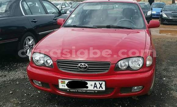 Acheter Occasion Voiture Toyota Corolla Rouge à Lomé au Togo Acheter Occasion Voiture Toyota Corolla Rouge à Lomé au Togo