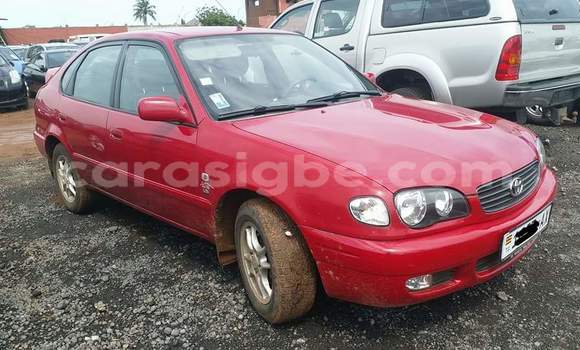 Acheter Occasion Voiture Toyota Corolla Rouge à Lomé, Togo Acheter Occasion Voiture Toyota Corolla Rouge à Lomé, Togo