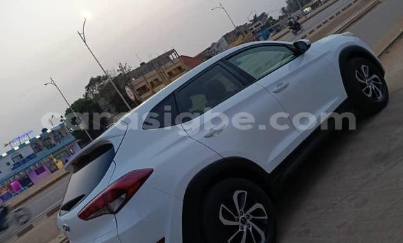 Buy Used Hyundai Tucson White Car in Lome in Togo Buy Used Hyundai Tucson White Car in Lome in Togo