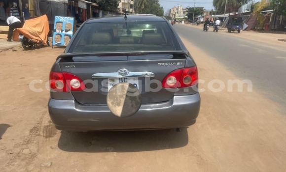 Acheter Occasion Voiture Toyota Corolla Gris à Lomé, Maritime Acheter Occasion Voiture Toyota Corolla Gris à Lomé, Maritime