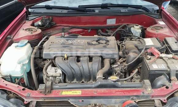 Acheter Occasion Voiture Toyota Corolla Rouge à Lomé, Togo Acheter Occasion Voiture Toyota Corolla Rouge à Lomé, Togo