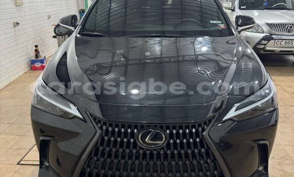 Acheter Occasion Voiture Lexus NX Autre à Lomé, Togo