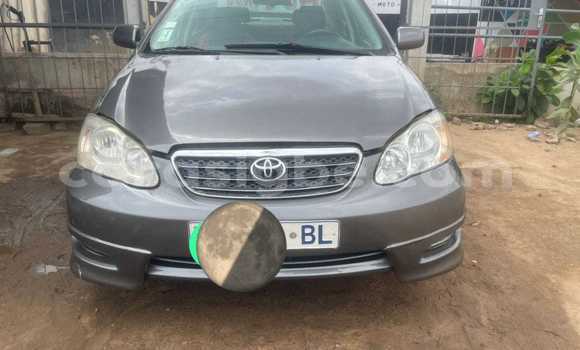 Acheter Occasion Voiture Toyota Corolla Gris à Lomé, Togo Acheter Occasion Voiture Toyota Corolla Gris à Lomé, Togo