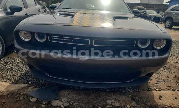 Acheter Occasion Voiture Dodge Challenger Autre à Lomé, Maritime