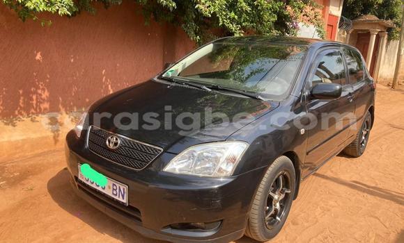Acheter Occasion Voiture Toyota Corolla Noir à Lomé, Togo Acheter Occasion Voiture Toyota Corolla Noir à Lomé, Togo