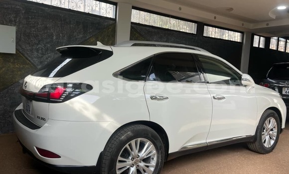 Buy Used Lexus RX 350 White Car in Lome in Togo Buy Used Lexus RX 350 White Car in Lome in Togo