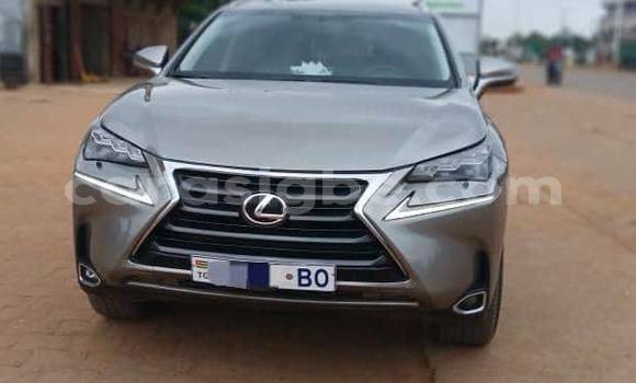 Buy Used Lexus NX Silver Car in Lome in West africa Buy Used Lexus NX Silver Car in Lome in West africa