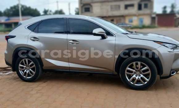 Buy Used Lexus NX Silver Car in Lome in West africa Buy Used Lexus NX Silver Car in Lome in West africa