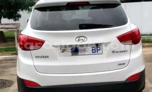Buy Used Hyundai Tucson White Car in Kodjoviakopé in Togo Buy Used Hyundai Tucson White Car in Kodjoviakopé in Togo
