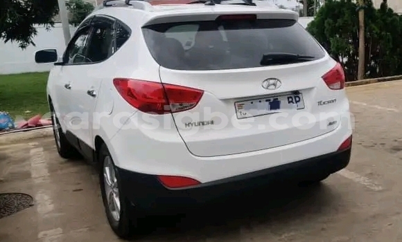 Buy Used Hyundai Tucson White Car in Kodjoviakopé in Togo Buy Used Hyundai Tucson White Car in Kodjoviakopé in Togo