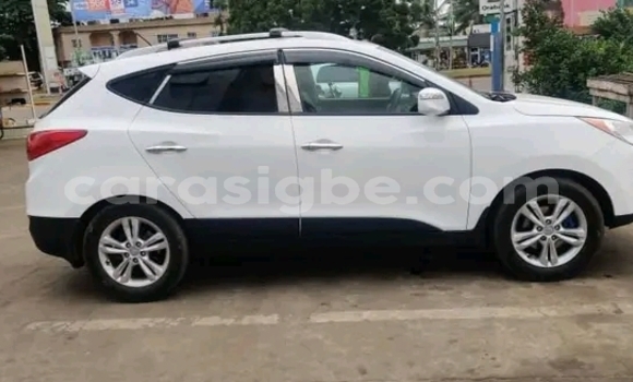 Buy Used Hyundai Tucson White Car in Kodjoviakopé in Togo Buy Used Hyundai Tucson White Car in Kodjoviakopé in Togo