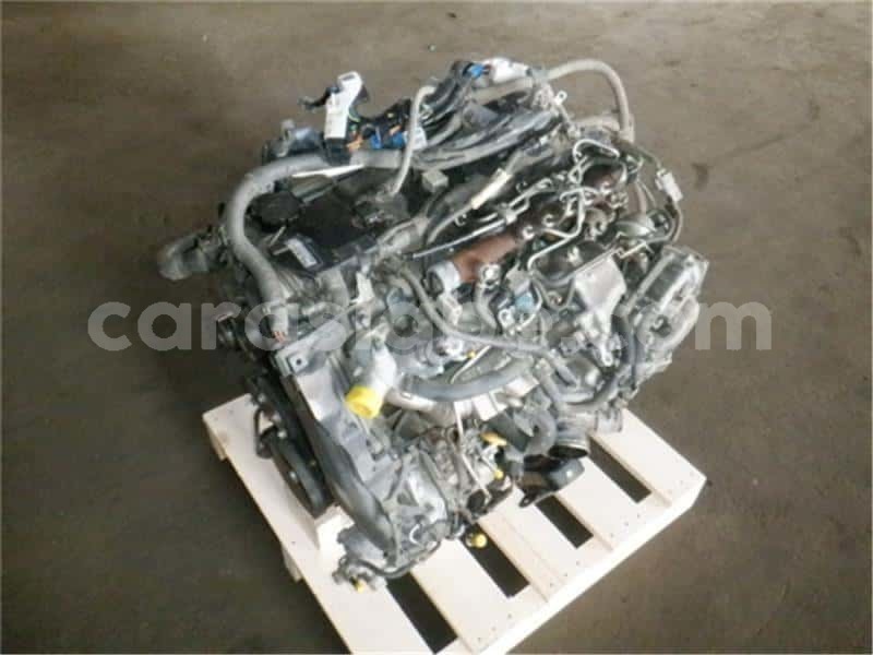 Big with watermark totota regius