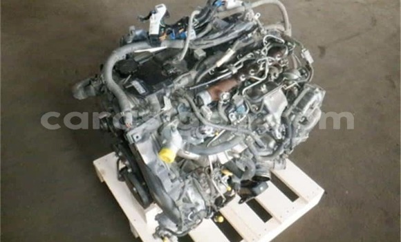 Medium with watermark totota regius