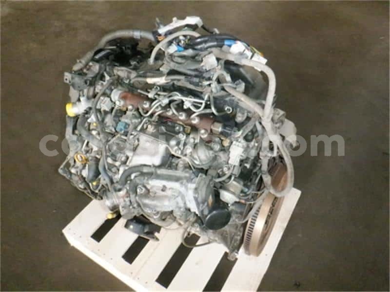 Big with watermark toyoo ace