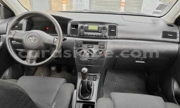 Acheter Occasion Voiture Toyota Corolla Blanc à Lomé, Togo Acheter Occasion Voiture Toyota Corolla Blanc à Lomé, Togo