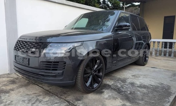 Acheter Occasion Voiture Land Rover Range Rover Vogue Gris à Lome, West africa Acheter Occasion Voiture Land Rover Range Rover Vogue Gris à Lome, West africa