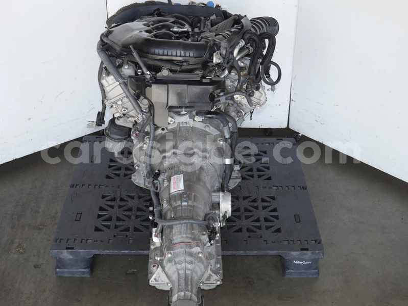 Big with watermark image h