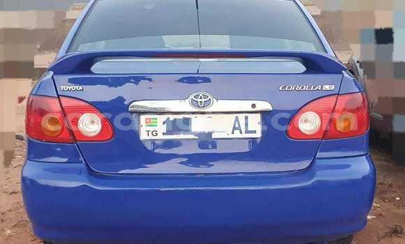 Buy Used Toyota Corolla Black Car in Lome in Togo Buy Used Toyota Corolla Black Car in Lome in Togo