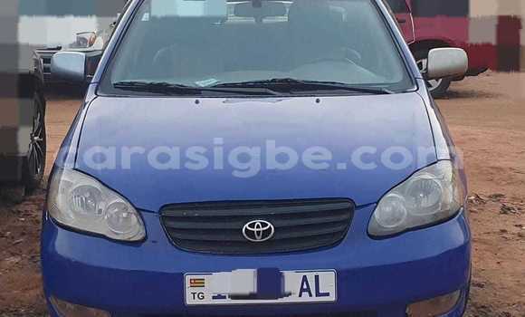 Buy Used Toyota Corolla Black Car in Lome in Togo Buy Used Toyota Corolla Black Car in Lome in Togo