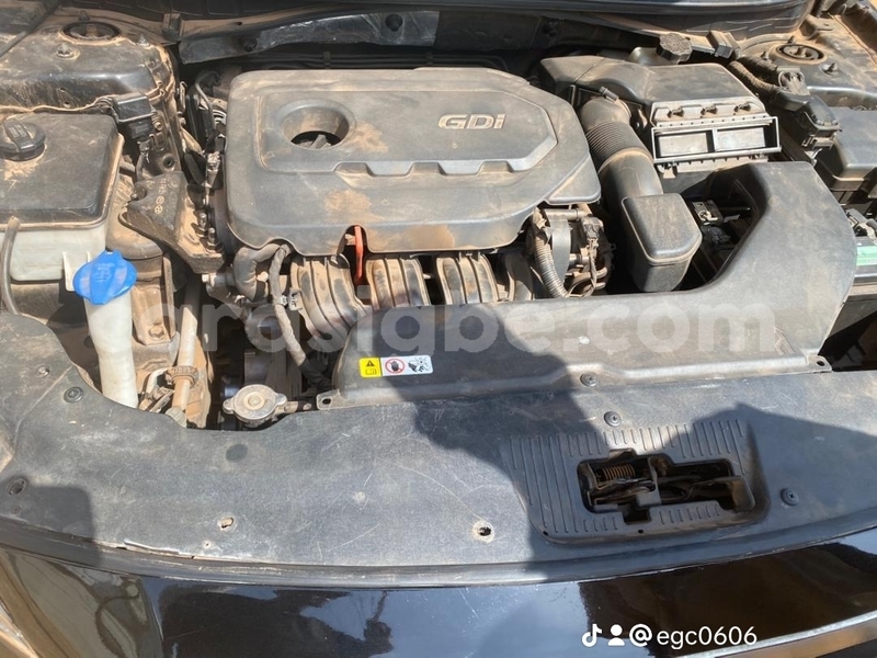 Big with watermark hyundai sonata togo dekon 11003