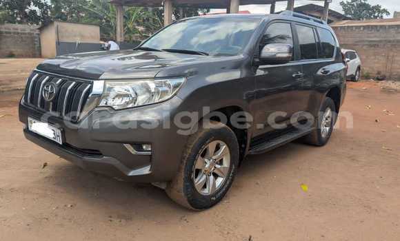 Acheter Occasion Voiture Toyota Land Cruiser Autre à Lome, West africa
