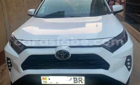Buy New Toyota RAV4 White Car in Lome in Maritime Buy New Toyota RAV4 White Car in Lome in Maritime