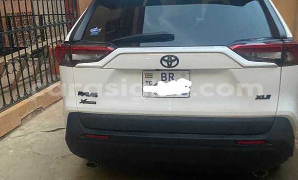 Buy New Toyota RAV4 White Car in Lome in Maritime Buy New Toyota RAV4 White Car in Lome in Maritime