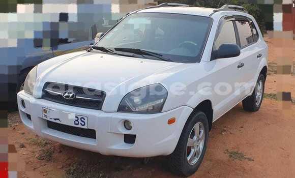 Buy Used Hyundai Tucson White Car in Lome in Togo Buy Used Hyundai Tucson White Car in Lome in Togo