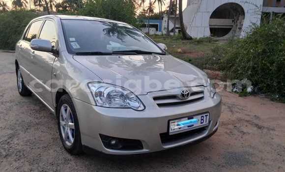 Acheter Occasion Voiture Toyota Corolla Beige à Lomé, Togo Acheter Occasion Voiture Toyota Corolla Beige à Lomé, Togo
