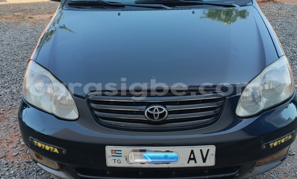 Acheter Occasion Voiture Toyota Corolla Noir à Lomé, Maritime