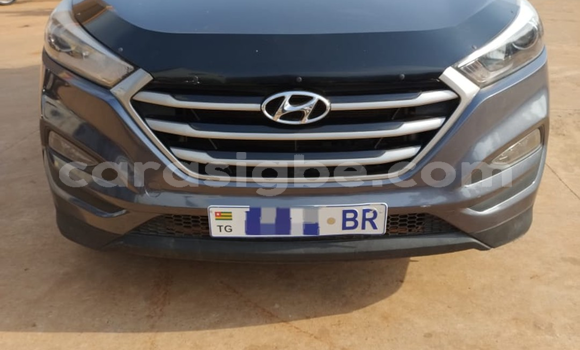 Acheter Occasion Voiture Hyundai Tucson Autre à Lomé, Maritime