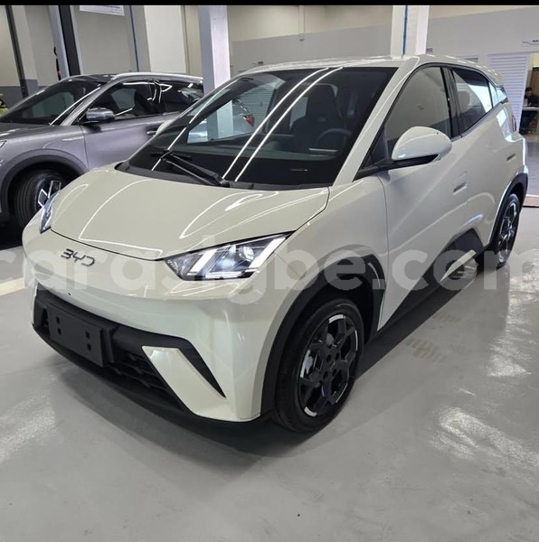 Big with watermark byd seagull maritime lome 11082