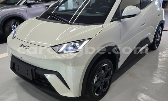 Acheter Occasion Voiture BYD Seagull Blanc à Lomé, Maritime