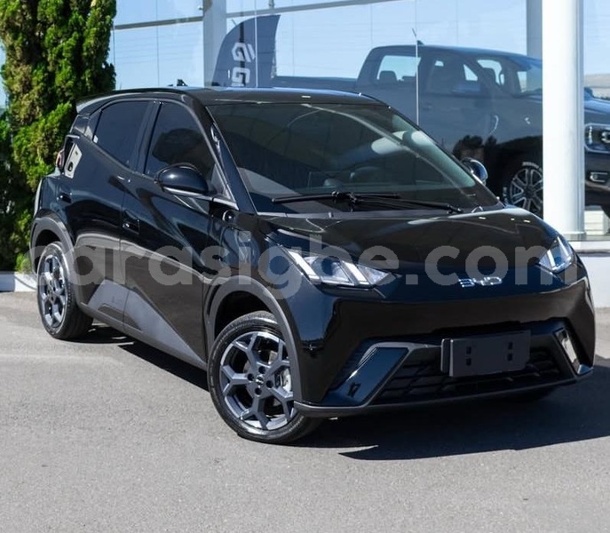 Big with watermark byd seagull maritime lome 11082