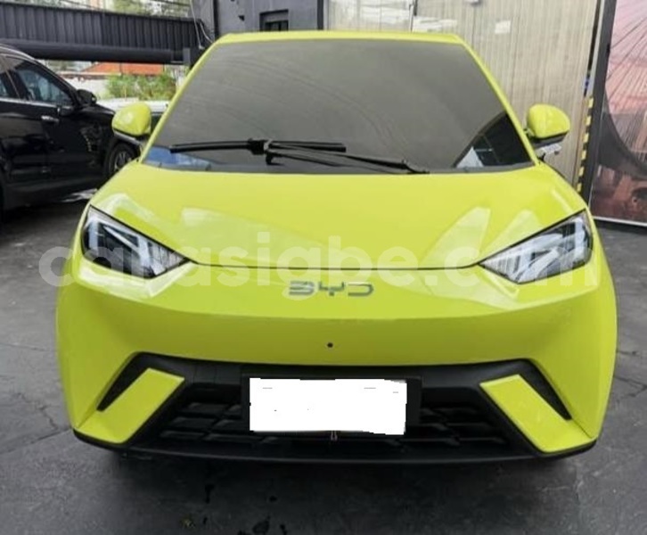 Big with watermark byd seagull maritime lome 11082