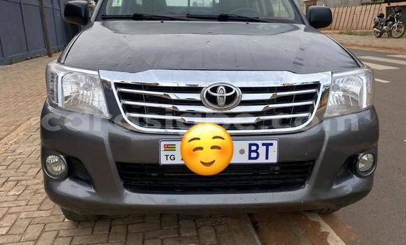 Acheter Occasion Voiture Toyota Hilux Gris à Lomé, Maritime
