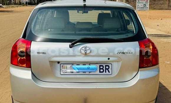 Acheter Occasion Voiture Toyota Corolla Beige à Lomé, Maritime Acheter Occasion Voiture Toyota Corolla Beige à Lomé, Maritime
