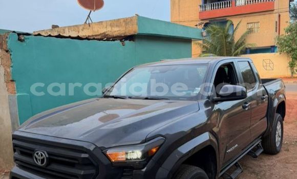 Acheter Occasion Voiture Toyota Tacoma Bleu à Lomé, Maritime