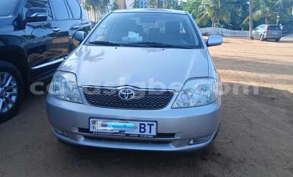 Buy Used Toyota Corolla Silver Car in Lome in Maritime Buy Used Toyota Corolla Silver Car in Lome in Maritime