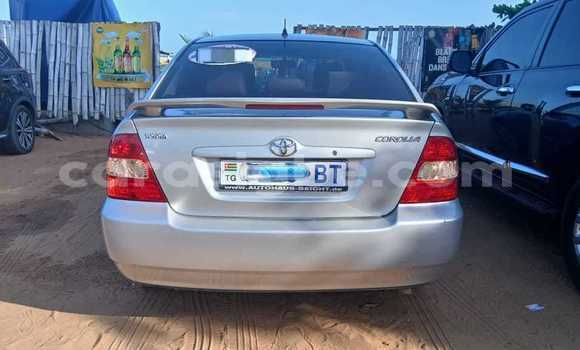 Buy Used Toyota Corolla Silver Car in Lome in Maritime Buy Used Toyota Corolla Silver Car in Lome in Maritime