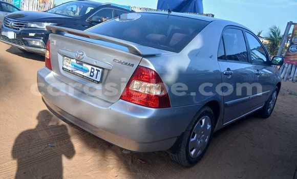 Buy Used Toyota Corolla Silver Car in Lome in Maritime Buy Used Toyota Corolla Silver Car in Lome in Maritime