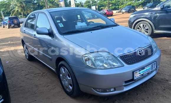 Buy Used Toyota Corolla Silver Car in Lome in Maritime Buy Used Toyota Corolla Silver Car in Lome in Maritime