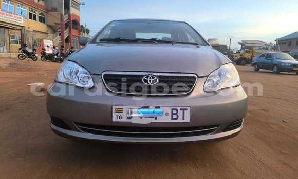 Acheter Occasion Voiture Toyota Corolla Gris à Lomé, Maritime