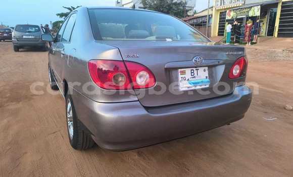 Acheter Occasion Voiture Toyota Corolla Gris à Lomé, Maritime Acheter Occasion Voiture Toyota Corolla Gris à Lomé, Maritime