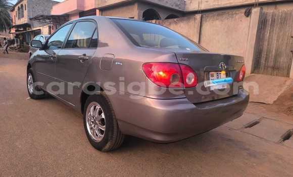 Acheter Occasion Voiture Toyota Corolla Gris à Lomé, Maritime Acheter Occasion Voiture Toyota Corolla Gris à Lomé, Maritime