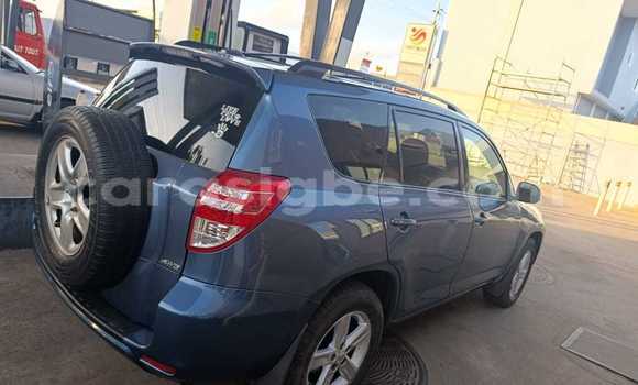 Buy Used Toyota RAV4 Blue Car in Lome in West africa Buy Used Toyota RAV4 Blue Car in Lome in West africa