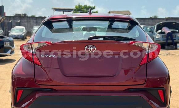 Buy Import Toyota C-HR Other Car in Lome in West africa Buy Import Toyota C-HR Other Car in Lome in West africa