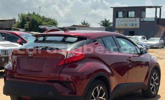 Buy Import Toyota C-HR Other Car in Lome in West africa Buy Import Toyota C-HR Other Car in Lome in West africa