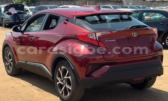 Buy Import Toyota C-HR Other Car in Lome in West africa Buy Import Toyota C-HR Other Car in Lome in West africa